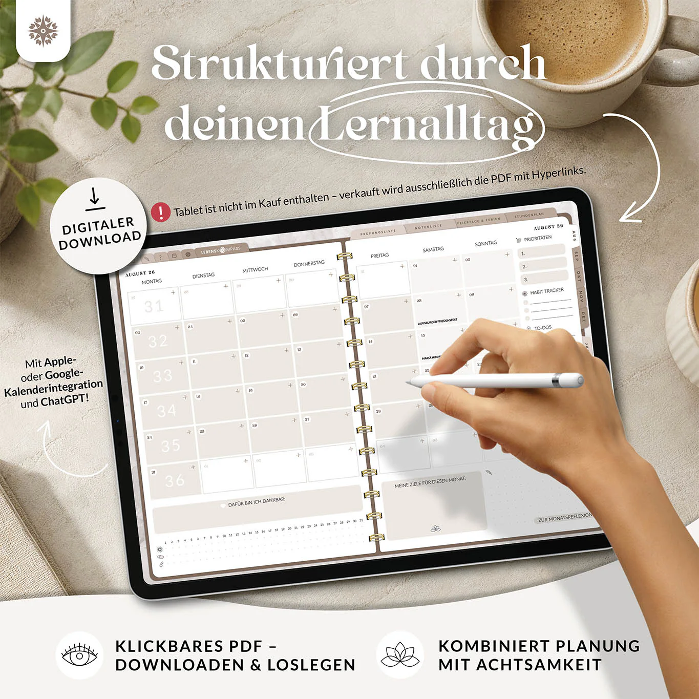 Vorschaubild 2